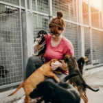 Puppies at the shelter