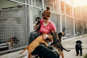 Puppies at the shelter